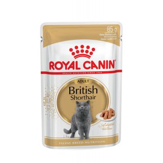 ROYAL CANIN British Shorthair Adult Katzenfutter nass für Britisch Kurzhaar 12x85 g