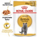 ROYAL CANIN British Shorthair Adult Katzenfutter nass...