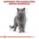 ROYAL CANIN British Shorthair Adult Katzenfutter nass f&uuml;r Britisch Kurzhaar 12x85 g