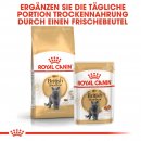 ROYAL CANIN British Shorthair Adult Katzenfutter nass f&uuml;r Britisch Kurzhaar 12x85 g