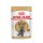 ROYAL CANIN British Shorthair Adult Katzenfutter nass für Britisch Kurzhaar 12x85 g