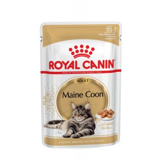 ROYAL CANIN Maine Coon Adult Katzenfutter nass 12x85 g
