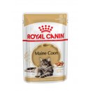ROYAL CANIN Maine Coon Adult Katzenfutter nass 12x85 g