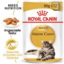 ROYAL CANIN Maine Coon Adult Katzenfutter nass 12x85 g