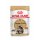 ROYAL CANIN Maine Coon Adult Katzenfutter nass 12x85 g