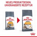 ROYAL CANIN Hair &amp; Skin Care Katzenfutter trocken f&uuml;r gesundes Fell 2 Kg