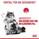 ROYAL CANIN Hair &amp; Skin Care Katzenfutter trocken f&uuml;r gesundes Fell 2 Kg