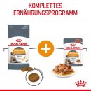 ROYAL CANIN Hair &amp; Skin Care Katzenfutter trocken f&uuml;r gesundes Fell 2 Kg