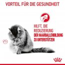 ROYAL CANIN Hairball Care Katzenfutter trocken gegen Haarballen 2 Kg