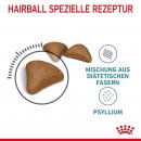 ROYAL CANIN Hairball Care Katzenfutter trocken gegen Haarballen 2 Kg