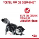 ROYAL CANIN Digest Sensitive Nassfutter f&uuml;r Katzen mit empfindlicher Verdauung 12x85 g