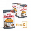 ROYAL CANIN HAIR & SKIN CARE Katzennahrung Feucht...