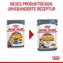 ROYAL CANIN HAIR &amp; SKIN CARE Katzennahrung Feucht f&uuml;r gesundes Fell (Intense Beauty) 12x85 g