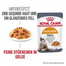 ROYAL CANIN HAIR &amp; SKIN CARE Katzennahrung Feucht f&uuml;r gesundes Fell (Intense Beauty) 12x85 g