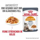 ROYAL CANIN HAIR &amp; SKIN CARE Katzennahrung Feucht f&uuml;r gesundes Fell (Intense Beauty) 12x85 g