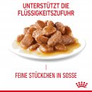 ROYAL CANIN ULTRA LIGHT in So&szlig;e Nassfutter f&uuml;r zu &Uuml;bergewicht neigenden Katzen 12x85 g