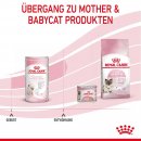 ROYAL CANIN BABYCAT MILK Aufzuchtmilch f&uuml;r Kitten 300 g