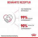 ROYAL CANIN MOTHER &amp; BABYCAT Katzenfutter f&uuml;r tragende Katzen und Kitten 4 Kg