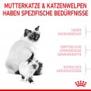 ROYAL CANIN MOTHER &amp; BABYCAT Katzenfutter f&uuml;r tragende Katzen und Kitten 4 Kg