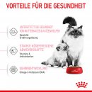 ROYAL CANIN MOTHER &amp; BABYCAT Katzenfutter f&uuml;r tragende Katzen und Kitten 4 Kg