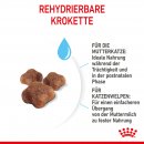 ROYAL CANIN MOTHER &amp; BABYCAT Katzenfutter f&uuml;r tragende Katzen und Kitten 4 Kg