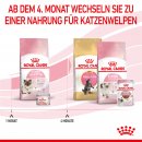 ROYAL CANIN MOTHER &amp; BABYCAT Katzenfutter f&uuml;r tragende Katzen und Kitten 4 Kg