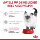 ROYAL CANIN KITTEN Trockenfutter f&uuml;r K&auml;tzchen bis zum 12. Monat 400 g