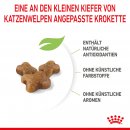 ROYAL CANIN KITTEN Trockenfutter f&uuml;r K&auml;tzchen bis zum 12. Monat 400 g