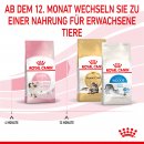 ROYAL CANIN KITTEN Trockenfutter f&uuml;r K&auml;tzchen bis zum 12. Monat 400 g