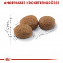 ROYAL CANIN STERILISED Trockenfutter f&uuml;r kastrierte Katzen 2 Kg