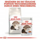 ROYAL CANIN AGEING 12+ Trockenfutter f&uuml;r &auml;ltere Katzen 4 Kg