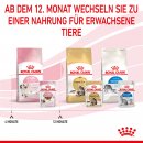 ROYAL CANIN KITTEN Nassfutter in So&szlig;e f&uuml;r K&auml;tzchen 12x85 g