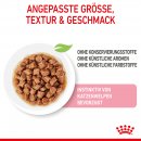 ROYAL CANIN KITTEN Nassfutter in So&szlig;e f&uuml;r K&auml;tzchen 12x85 g