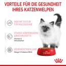 ROYAL CANIN KITTEN Nassfutter in So&szlig;e f&uuml;r K&auml;tzchen 12x85 g