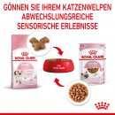 ROYAL CANIN KITTEN Nassfutter in So&szlig;e f&uuml;r K&auml;tzchen 12x85 g