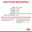 ROYAL CANIN KITTEN Nassfutter in So&szlig;e f&uuml;r K&auml;tzchen 12x85 g