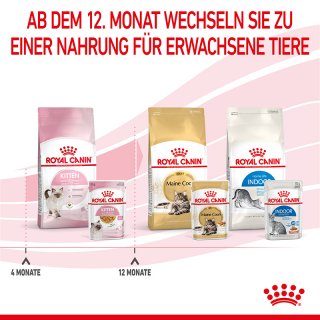abus fahrradschloss zahlenschloss ABUS Faltschloss  SUSHI BIKES