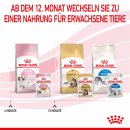 ROYAL CANIN KITTEN Nassfutter in Gelee f&uuml;r K&auml;tzchen 12x85 g