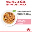 ROYAL CANIN KITTEN Nassfutter in Gelee f&uuml;r K&auml;tzchen 12x85 g