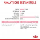 ROYAL CANIN KITTEN Nassfutter in Gelee f&uuml;r K&auml;tzchen 12x85 g