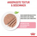 ROYAL CANIN KITTEN Nassfutter in Mousse f&uuml;r K&auml;tzchen 12x85 g