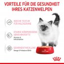 ROYAL CANIN KITTEN Nassfutter in Mousse f&uuml;r K&auml;tzchen 12x85 g