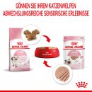 ROYAL CANIN KITTEN Nassfutter in Mousse f&uuml;r K&auml;tzchen 12x85 g