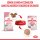 ROYAL CANIN KITTEN Nassfutter in Mousse für Kätzchen 12x85 g