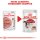 ROYAL CANIN INSTINCTIVE Katzenfutter nass in Soße 12x85 g