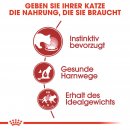 ROYAL CANIN INSTINCTIVE Katzenfutter nass in Gelee 12x85 g