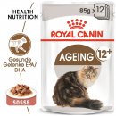 ROYAL CANIN AGEING 12+ in So&szlig;e Nassfutter f&uuml;r &auml;ltere Katzen 12x85 g