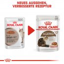 ROYAL CANIN AGEING 12+ in So&szlig;e Nassfutter f&uuml;r &auml;ltere Katzen 12x85 g