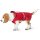 Hunter Hunde-Regenmantel Uppsala Rain Rot