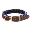 William Walker Paracord Hundehalsband Royal XL (54cm-60cm)